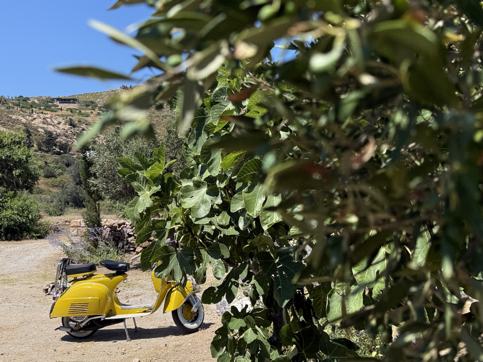 Hidden Olive Bay by Belle-Stay - Bild 2